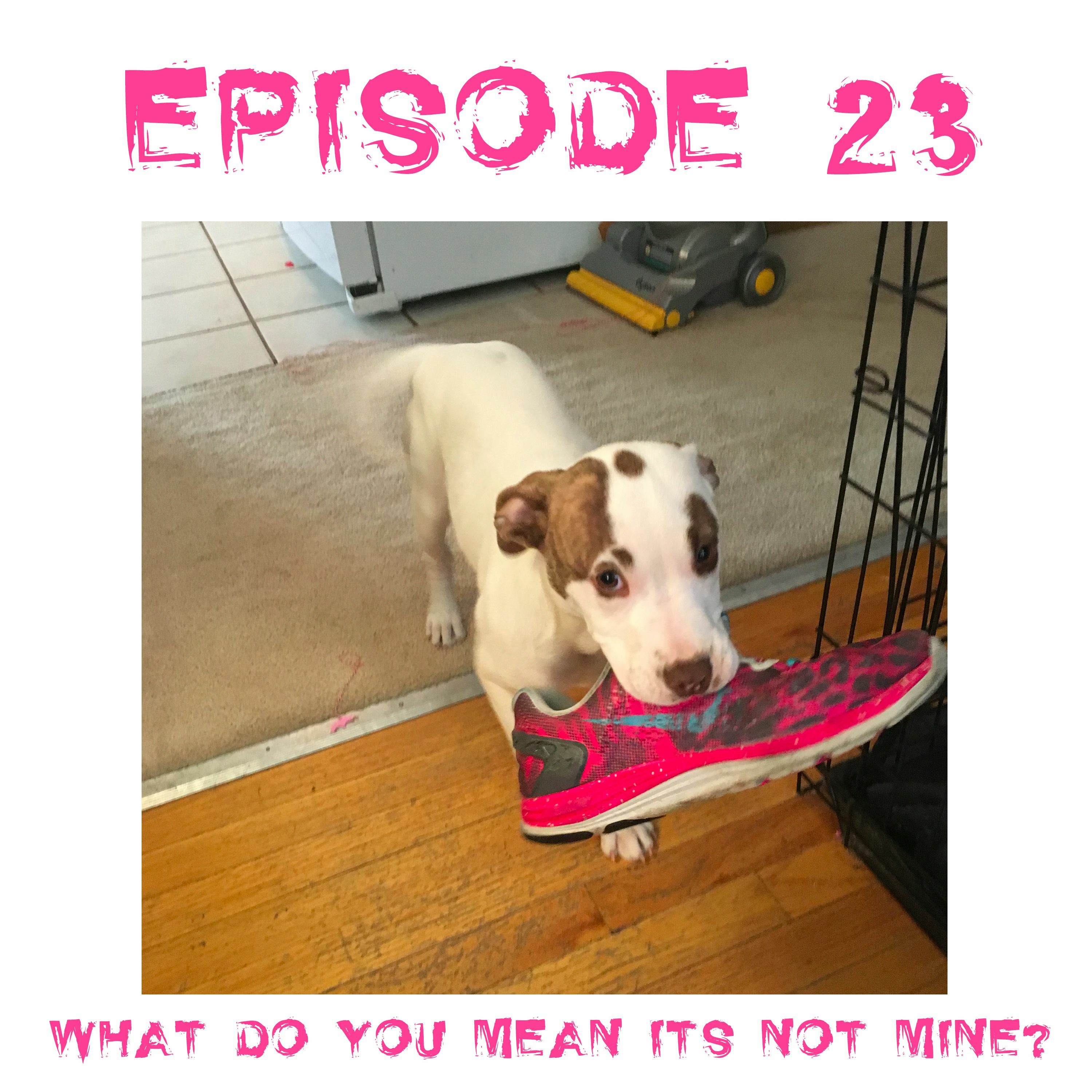 Episode 23 - Training with Bo episode artwork