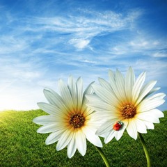 Simple |  Instrumental Background Music by e-soundtrax