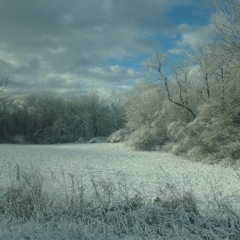 Saw Ye Never A Bonny Lass - Kiss'd Her Under The Coverlet