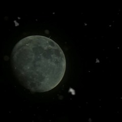 dee Moon