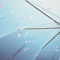 雨にぬれても／羊毛とおはな