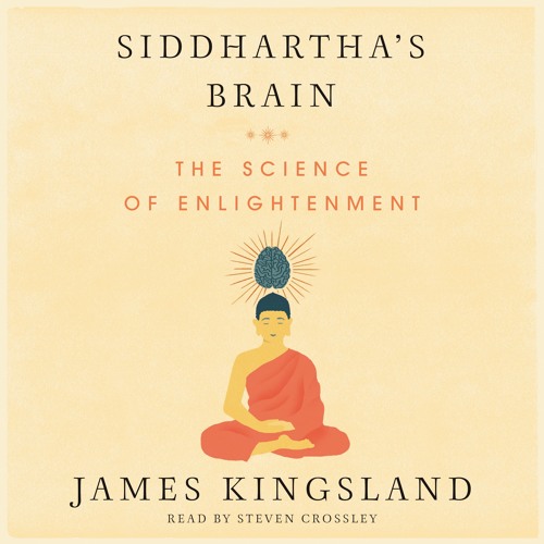 SIDDHARTHA'S BRAIN by James Kingsland