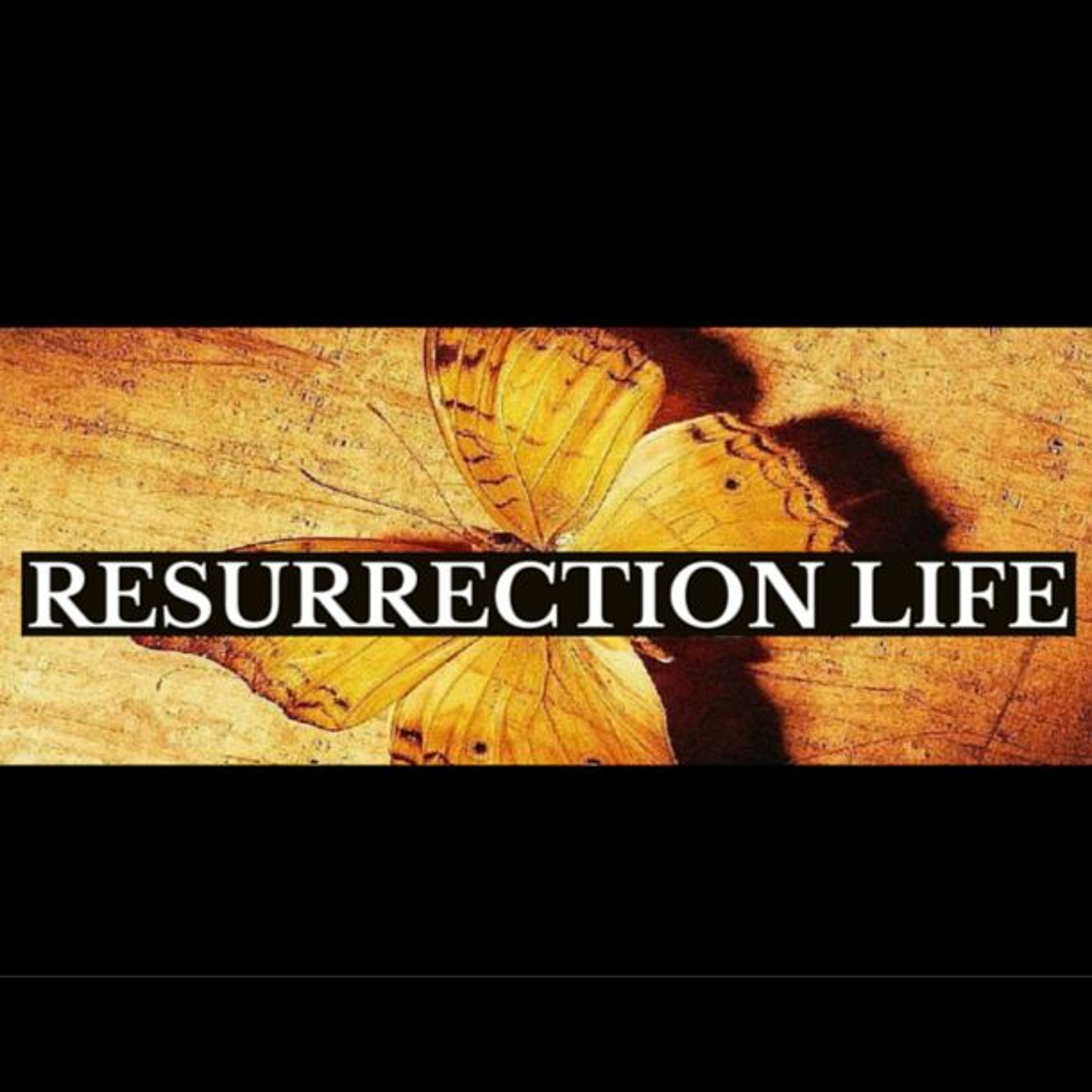 Life In A Garden By Dave Sim || 03.27.2016 Easter Sunday episode artwork