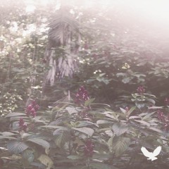 xander ft. darrion - comed