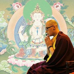 Kalu Rinpoche-Mantras for dying beings(To Benefit And Liberate All Sentient Beings) Part Two