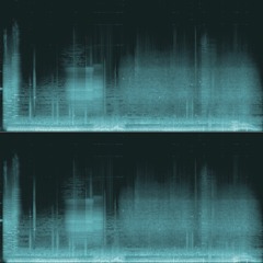 The Quantum Field Trip - Church (Polarized)