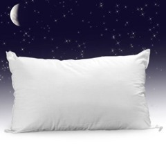 Sassou va se coucher