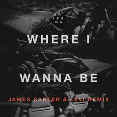 A R I Z O N A - Where I Wanna Be (James Carter & Levi Remix)