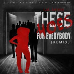 These Hoes For Everybody  (Remix)