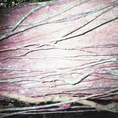 De Verdad Pinte Tu Sombra En La Pared