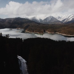 Forest (Ft. Michael Robens)