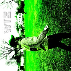 Psychedelic Night {Produced By BXVST & Tre Lb) Video link in description!