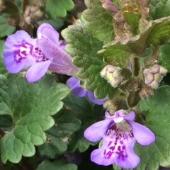 Being Crushed By the Void - 4 5 16, 8.26 PM