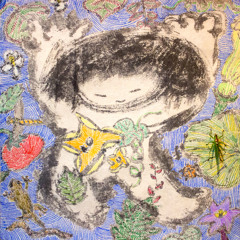 しらいき / Shiraiki