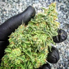 Shaad Green - Home Invasion 2016 Prod. Knockabeatz