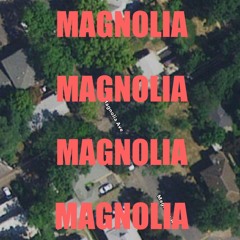 Magnolia (Prod. By Lil Smoochie)