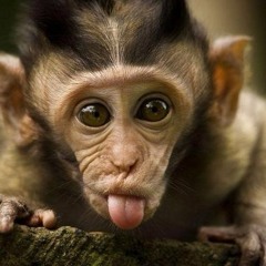 Cheeky Cheeky Bang Bang (THIS IS OLD! NEWER-BETTER VERSION ON SPOTIFY)