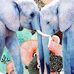 C L O S E (produced by .pd)