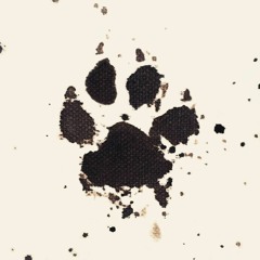 Obvious (Or The Pursuit of Empathy)