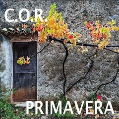 DJ C.O.R. PRIMAVERA