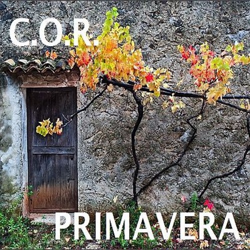 DJ C.O.R. PRIMAVERA