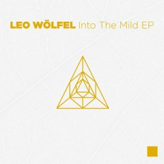 Leo Wölfel - Fallser Flurry (snippet)