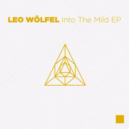 Leo Wölfel - Fallser Flurry (snippet)