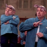 The Feeling Of Dead Butterflies In Your Stomach By Jared Lenore