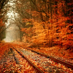 El Otoño de los Árboles / The Autumn of the Trees