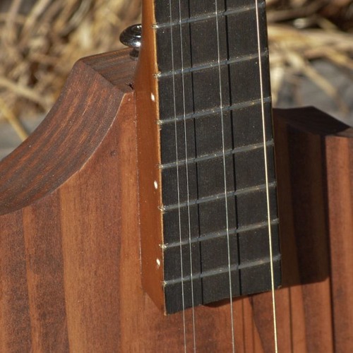 Stream 1930s/2016 Del Oro resonator dulcimer/tenor guitar hybrid by