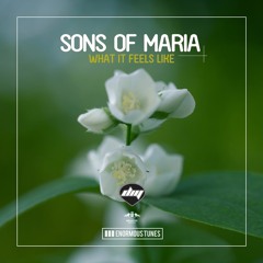 Sons Of Maria - What It Feels Like (Original Mix)