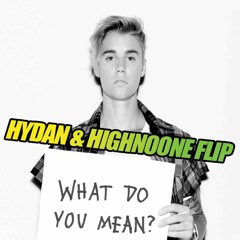 What Do You Mean (HYDAN and Highnoone Flip)