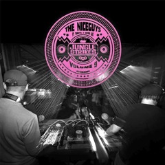 The Niceguys, Turntill & Silver Cat - Rub A Dub Party