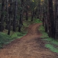 Frighten Me - Heather Collier