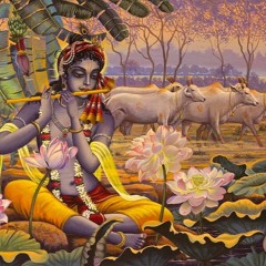 Pure Bhakti Follows In Vrndavana