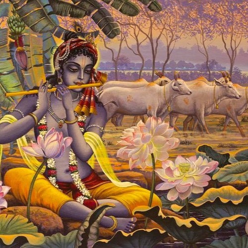 Pure Bhakti Follows In Vrndavana