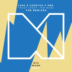 Tank & Cheetah & DBN - Trust (Feat. The Rise) (The Remixes) [Out Now]