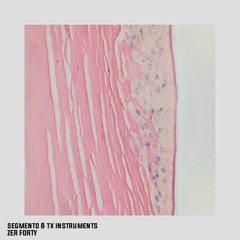Segmento,Tx Instruments- 40.0(Original Mix)