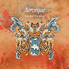 Aérotique - Delighted Soul