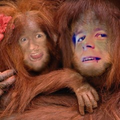 Jason Maek & Zaena - Get Up (Tecto & Thesis Remix)[FREE DOWNLOAD]