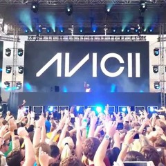 Martin Garrix & Avicii - I Was Lonley (Rip UMF 2016)