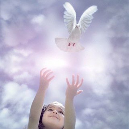 Stream 3 Aprender A Volar Patricia Sosa Mp3 By Julia Ferragut Listen