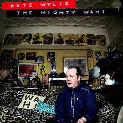 Pete Wylie - Sinful / Heroes [ Live @ Leaf 2016]