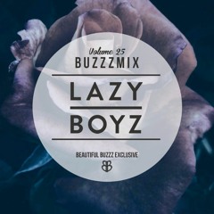 Buzzzmix Vol. 25 - Lazy Boyz