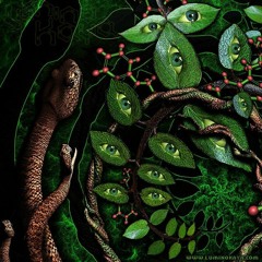 Psychedelic Mixes 4