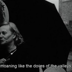 Moaning Like The Doves Of The Valleys