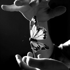 Jackson Blaai : Mi Tof.