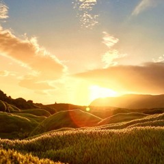 SODOR - LOST IN TRANSITIONS (MIX 2016)