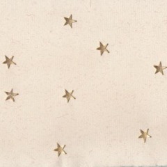 Moondust, I'll Be Good - Jaymes Young (Cover)