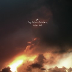 Deep Electronics Podcast # 114 - Robert Heel